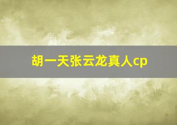 胡一天张云龙真人cp