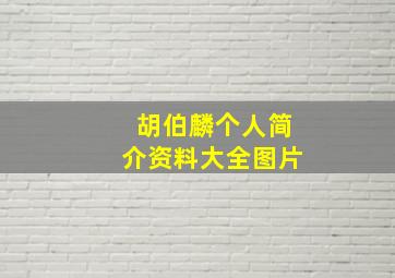 胡伯麟个人简介资料大全图片