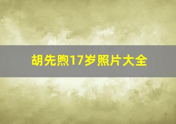 胡先煦17岁照片大全