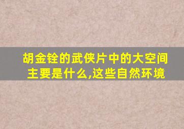 胡金铨的武侠片中的大空间主要是什么,这些自然环境