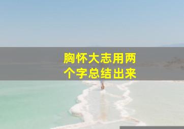 胸怀大志用两个字总结出来