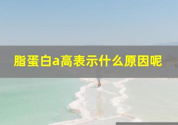 脂蛋白a高表示什么原因呢