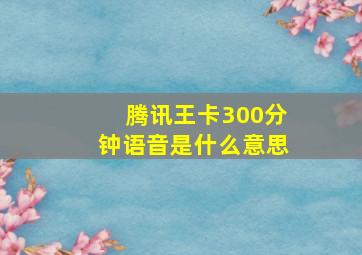 腾讯王卡300分钟语音是什么意思