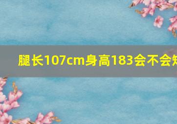 腿长107cm身高183会不会短