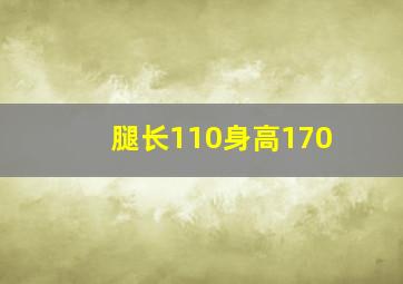 腿长110身高170