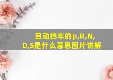 自动挡车的p,R,N,D,S是什么意思图片讲解