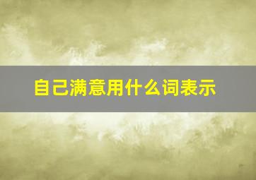 自己满意用什么词表示