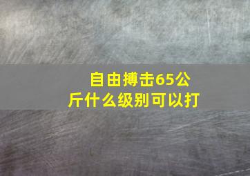 自由搏击65公斤什么级别可以打