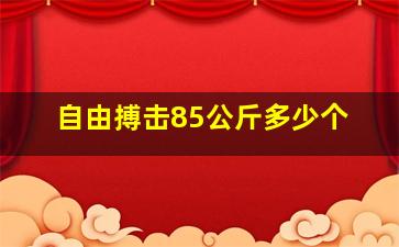 自由搏击85公斤多少个