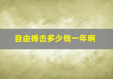 自由搏击多少钱一年啊