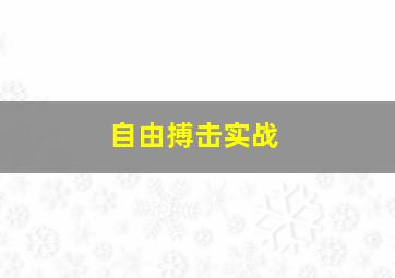 自由搏击实战