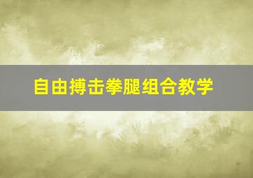 自由搏击拳腿组合教学