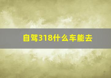 自驾318什么车能去