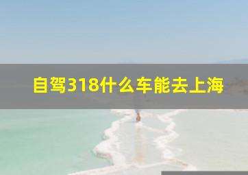 自驾318什么车能去上海