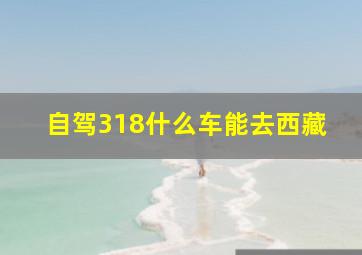 自驾318什么车能去西藏