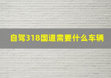 自驾318国道需要什么车辆