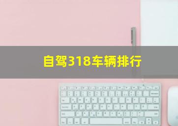 自驾318车辆排行