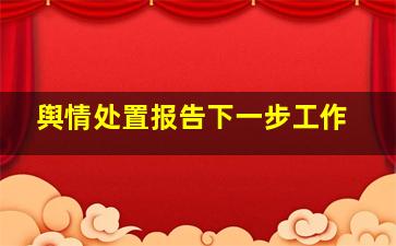 舆情处置报告下一步工作