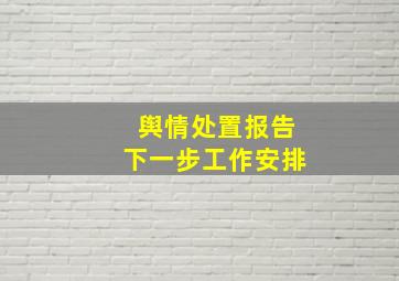 舆情处置报告下一步工作安排