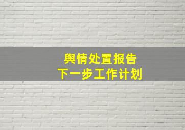 舆情处置报告下一步工作计划