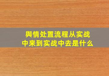 舆情处置流程从实战中来到实战中去是什么