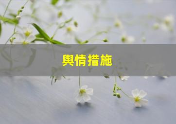 舆情措施