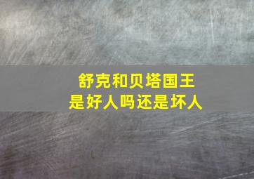 舒克和贝塔国王是好人吗还是坏人