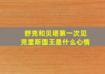 舒克和贝塔第一次见克里斯国王是什么心情