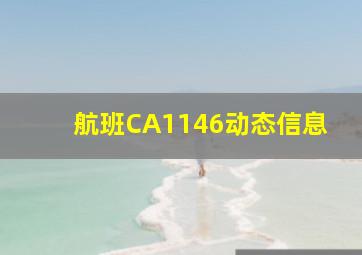 航班CA1146动态信息