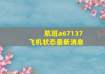 航班a67137飞机状态最新消息