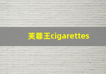 芙蓉王cigarettes