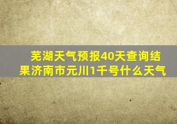 芜湖天气预报40天查询结果济南市元川1千号什么天气