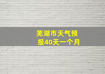 芜湖市天气预报40天一个月