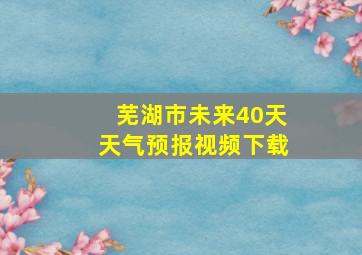 芜湖市未来40天天气预报视频下载