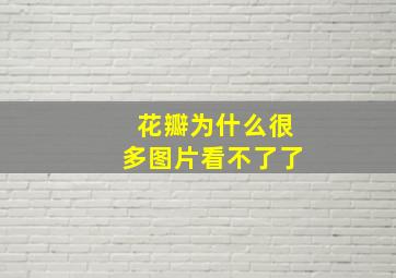 花瓣为什么很多图片看不了了