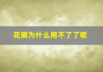 花瓣为什么用不了了呢