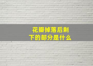 花瓣掉落后剩下的部分是什么