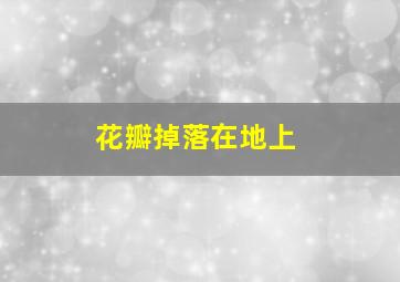 花瓣掉落在地上