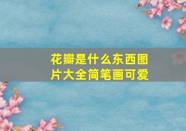 花瓣是什么东西图片大全简笔画可爱