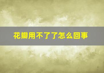 花瓣用不了了怎么回事