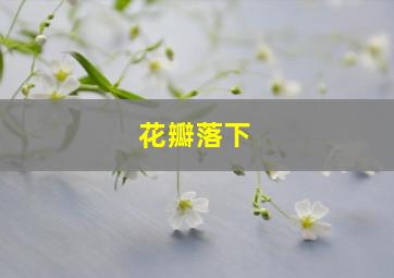 花瓣落下