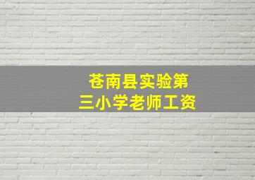 苍南县实验第三小学老师工资