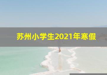 苏州小学生2021年寒假