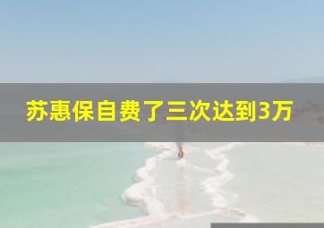 苏惠保自费了三次达到3万