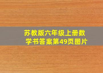 苏教版六年级上册数学书答案第49页图片