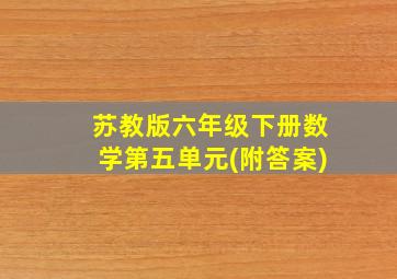 苏教版六年级下册数学第五单元(附答案)