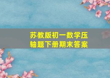 苏教版初一数学压轴题下册期末答案