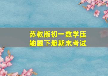 苏教版初一数学压轴题下册期末考试