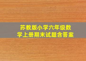 苏教版小学六年级数学上册期末试题含答案