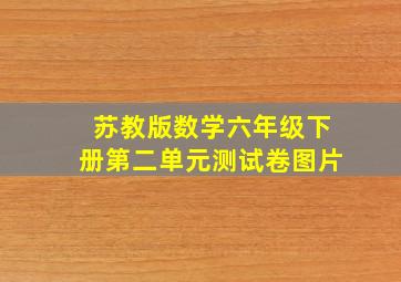 苏教版数学六年级下册第二单元测试卷图片